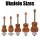 SUNLITE Concert Ukulele 100 Series