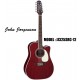 TAKAMINE John Jorgenson Signature Series 12-String A/E Guitar - Gloss Red Stain