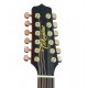 TAKAMINE Serie Pro 3 Guitarra Electro-Acustica de 12-Cuerdas - Satin Natural