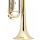 PRELUDE Student Model Bb Trumpet - Lacquer