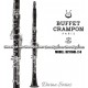 BUFFET "Divine" Professional Bb Wood Clarinet