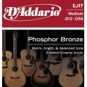 D'ADDARIO Phosphor Bronze Round Wound Acoustic Strings