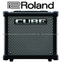 ROLAND Cube 10GX Guitar Amplifier