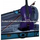 STENTOR "Harlequin Series" Student Model Violin - Deep Purple