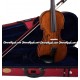 STENTOR "Series II" Student Model Violin Outfit